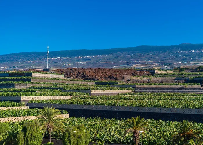 House - Modern In Tenerife, Spain Villa
